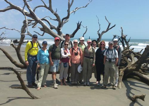 Twelve smiling people pose in front of a massive driftwood tree washed up on a beach.
