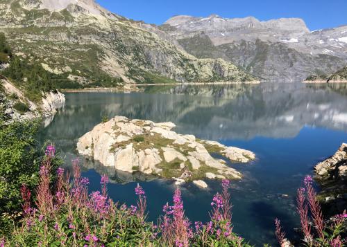 A lake bordered by mountains and purple flowers.