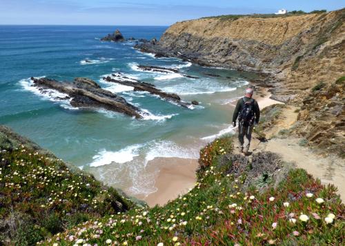 A hiker walks down a trail in a rocky cliff by the seaside.  To one side, flowers grow out of the cliff.