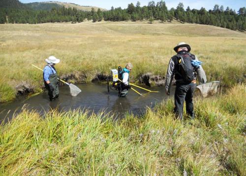Wild Trout Research in Valles Caldera National Preserve, New Mexico