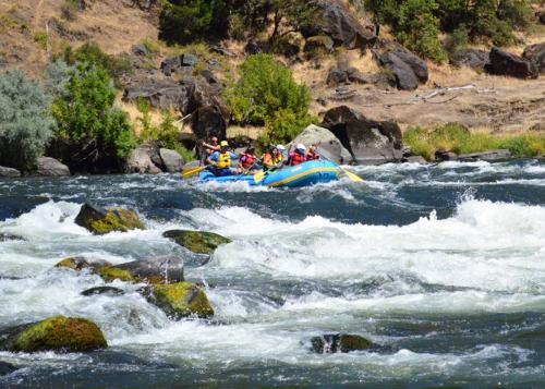 Seven people on an inflatable raft paddle through river rapids on a sunny day.