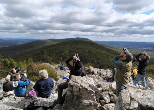 Several people look upward through binoculars. They all stand on rocky ground.