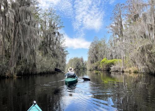 Kayaking The Enchanted Okefenokee Swamp