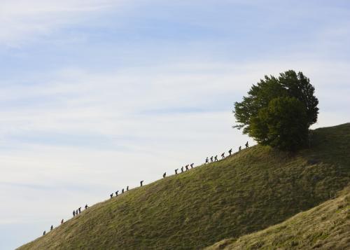 Hikers trekking up hillside of Mount Tamalpais in Marin County