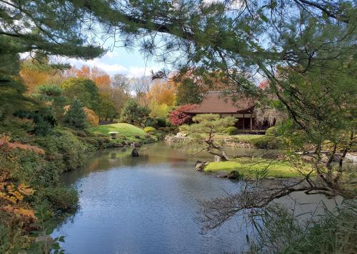 A pond surrounded by Japanese style plants and landscaping as well as a tea house.