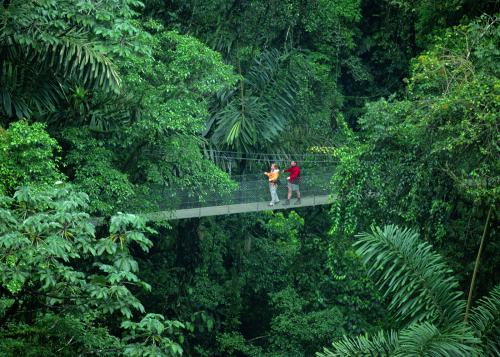 Two people on a suspended walking bridge in the middle of a lush Costa Rican forest