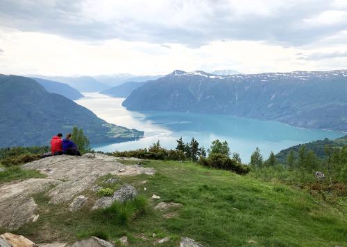 Exploring Norway's Fjords and Glaciers