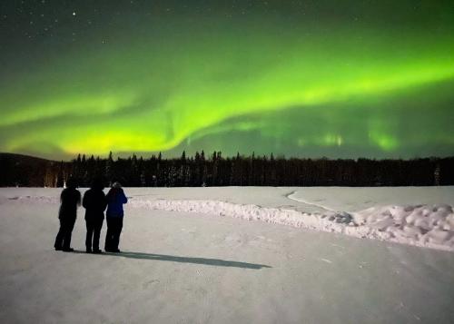 The Aurora Borealis, wavy green curtains of light in the sky, watched by three participants.
