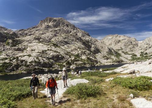 Trip participants hiking in a mountain landscape, surrounded by green grass and flowers