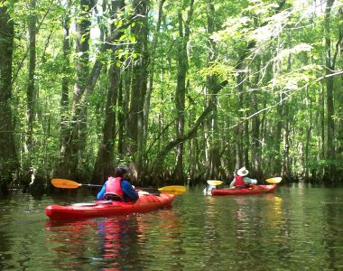 Kayak, Hike, and Snorkel Coastal South Carolina – Sierra Club