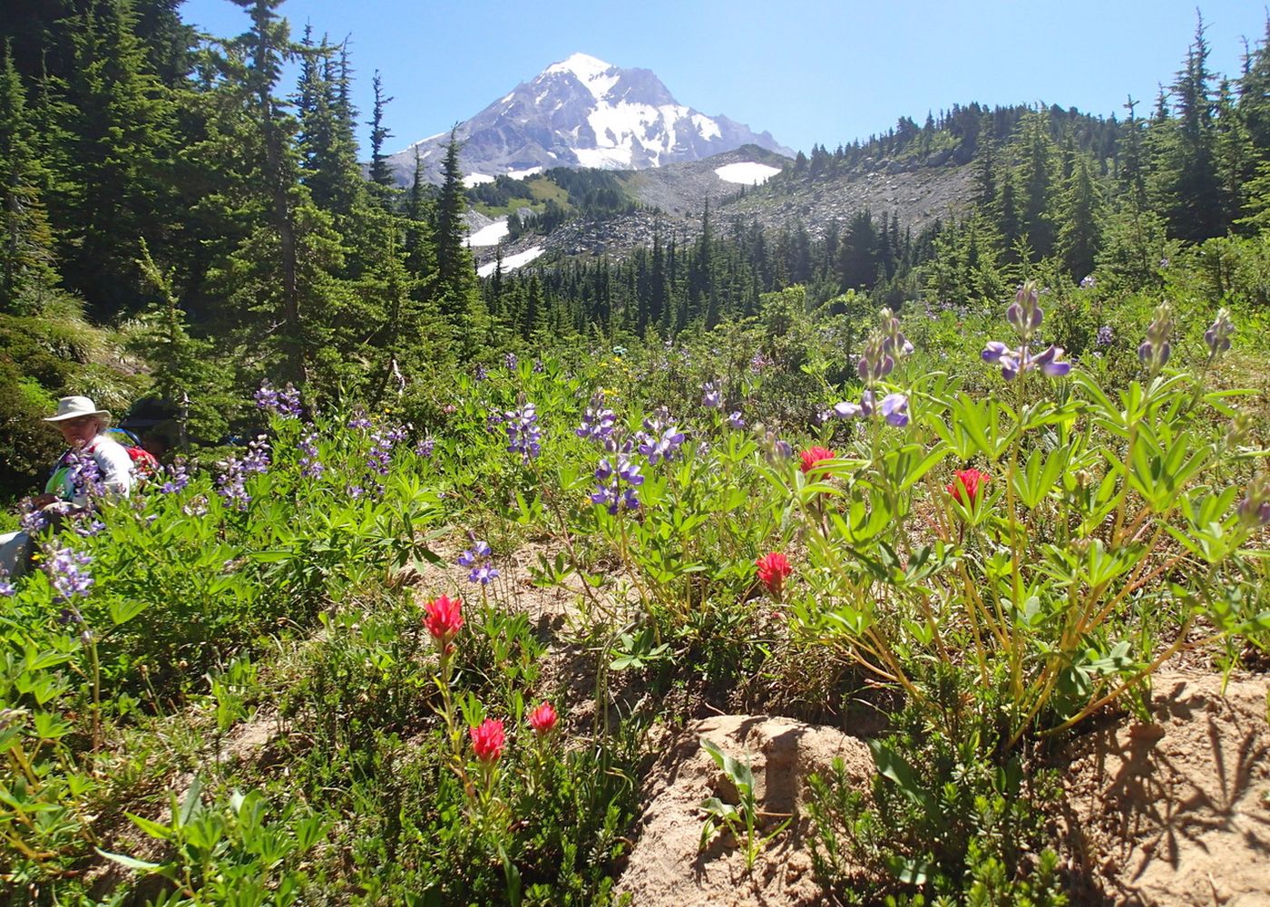 Oregon - Portland, Oregon Trail & Mount Hood